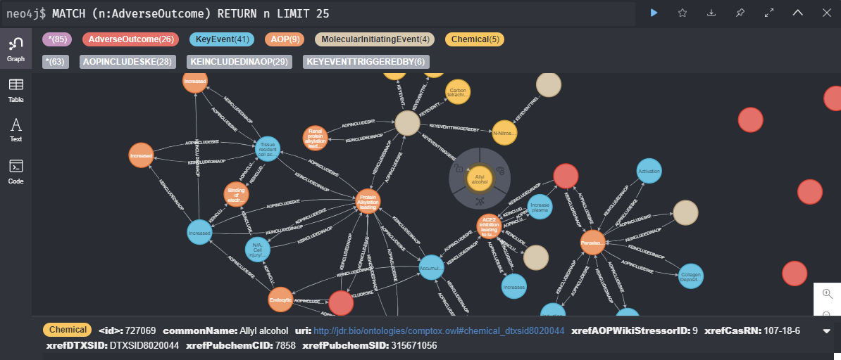 Neo4j browser view